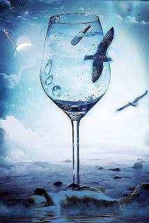 NO SÉ POR QUÉ LAS FLORES...