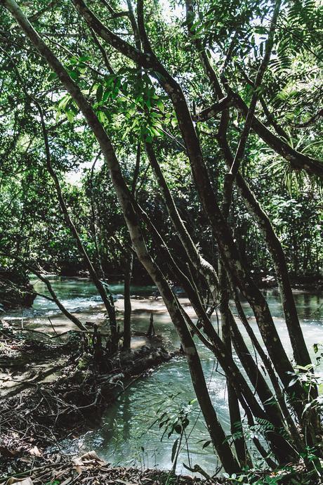 YS_FALLS-Jamaica-Peony_Swimwear-Lack_Of_Colors_Hat-Straw_Hat-Swimwear_Bikini-Outfit-83