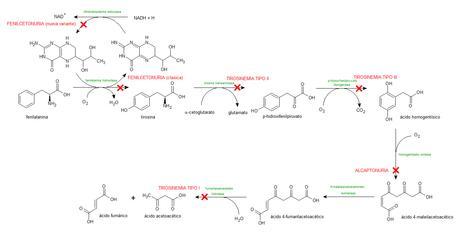 tirosinemias