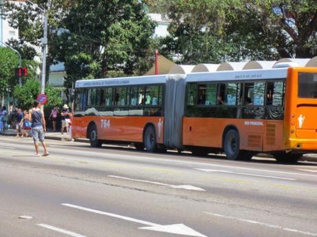 Nuevo lote de ómnibus recorrerá La Habana