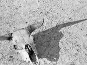 cosas debes saber sobre Crisis Mundial Agua