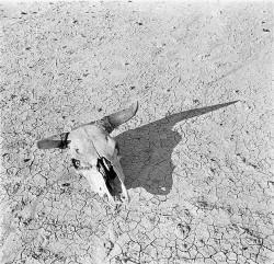 15 cosas que debes saber sobre la Crisis Mundial del Agua