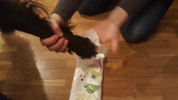 Mascoticlub Enero 2016 20160130_180428