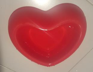 Mascoticlub Enero 2016 20160130_180051