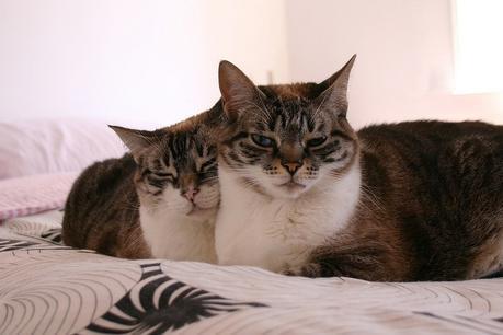 cata & toñita_27_20150522 - Version 2