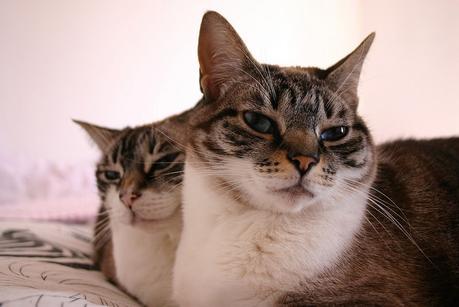 cata & toñita_30_20150522 - Version 2