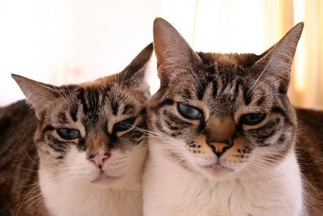 +cata & toñita_33_20150522 - Version 2