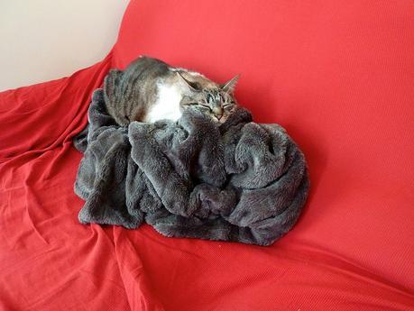 toñita_1_20150510 - Version 2