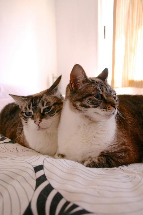 cata & toñita_34_20150522 - Version 3