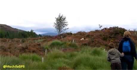 Gran Bretaña en autocaravana V: Chester, Conwy y el parque nacional Snowdonia
