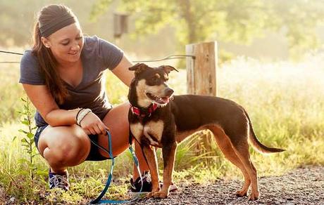 tratamiento de la diabetes en perros