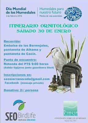 Itinerario ornitológico por el día de los humedales