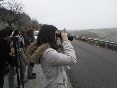 Itinerario ornitológico por el día de los humedales