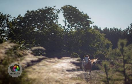 Reflexiones de viajar en pareja