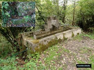 Sobrefoz-Ventaniella-Porrón de Viañu-Puerto Sus-Fana