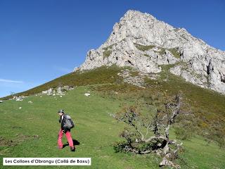 Sobrefoz-Ventaniella-Porrón de Viañu-Puerto Sus-Fana
