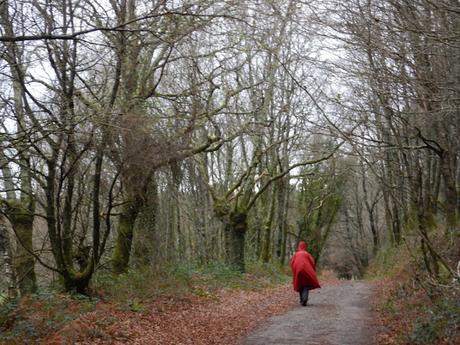 Camino inglés. Etapa 4. De Sigüeiro a Santiago de Compostela