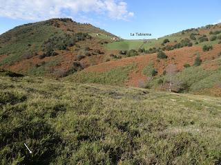 Coriscao-La Tabierna-Picón de la Mostayera-Retriñón