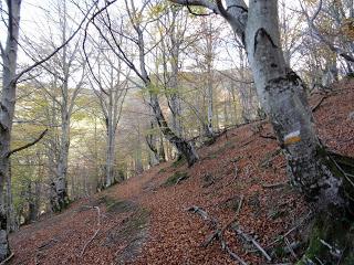 Coriscao-La Tabierna-Picón de la Mostayera-Retriñón