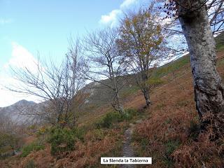 Coriscao-La Tabierna-Picón de la Mostayera-Retriñón