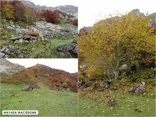 Sobrefoz-Mayada Maciédome-La Baullosa-Solafoz-Calviado