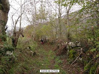 Sobrefoz-Mayada Maciédome-La Baullosa-Solafoz-Calviado