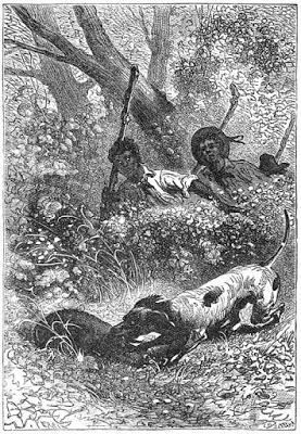 Mascotas de libro: Top Mascotas de libro: Top