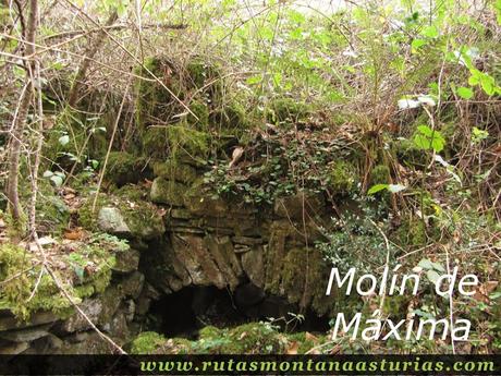 Molín de Máxima