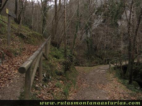 Desvío al Molín de Honorio