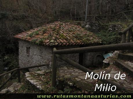 Molín de Miliio