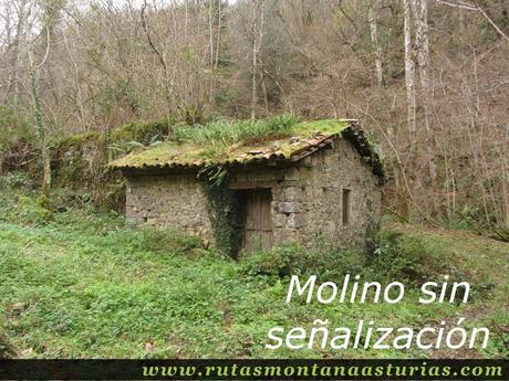 Molino en la ruta