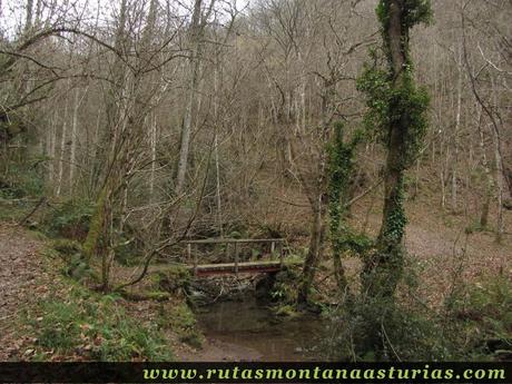 Puente sobre el río