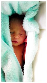 Ariel. Viniendo al Mundo.