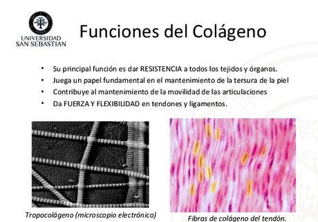 NUTRICOSMÉTICA:  COLÁGENO HIDROLIZADO COLNATUR COMPLEX