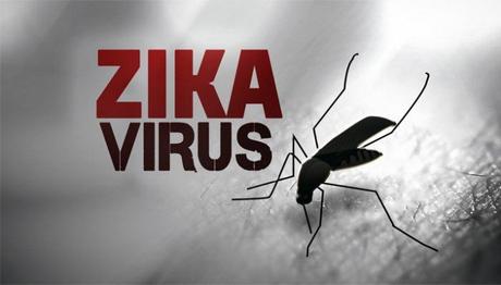 ¿La fiebre de Zika constituye una amenaza inminente para el feto?