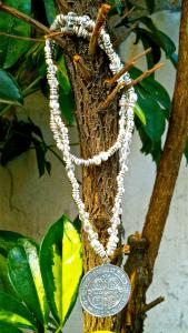 Medalla de San Benito