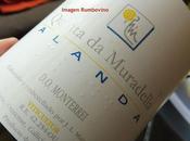 Alanda Rinconada.