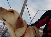 cosas hará GoPro para salir crisis