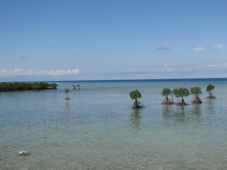 SIQUIJOR