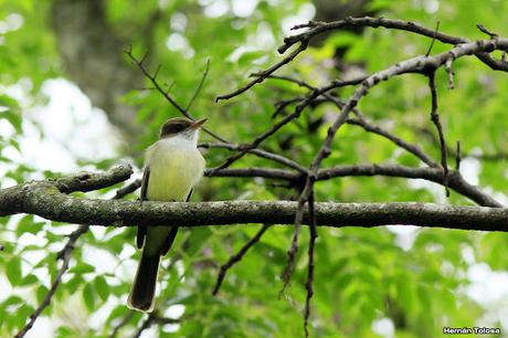 Reserva Natural Guardia del Juncal