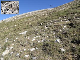 Coto de Buenamadre-Pena Gúa-Pico Alto-Entrebobias-La Franca-Valle de Lago