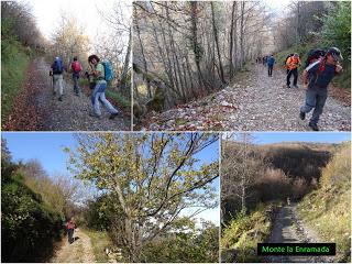 Coto de Buenamadre-Pena Gúa-Pico Alto-Entrebobias-La Franca-Valle de Lago