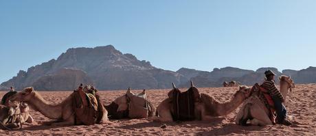 Escenas de Wadi Rum