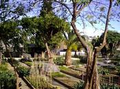 M.h.i.c, museo historia inmigración, barcelona abans, avui sempre...8-02-2016...!!!