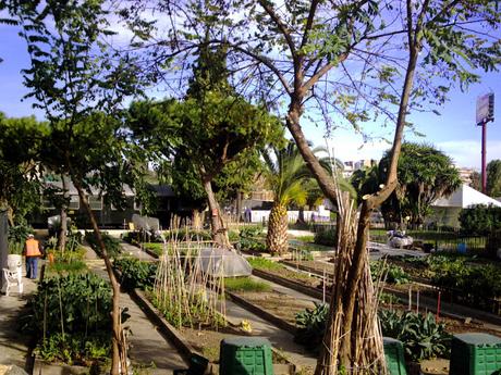 M.H.I.C, MUSEO DE HISTORIA DE LA INMIGRACIÓN, A LA BARCELONA D' ABANS, D' AVUI I DE SEMPRE...8-02-2016...!!!