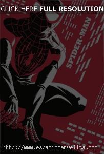 Spider-Man por Michael Cho
