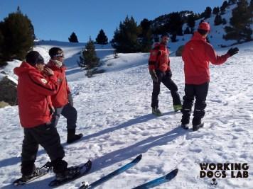 Adiestramiento de perros para avalanchas