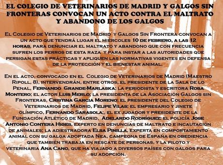 acto madrid galgos