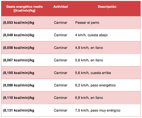 ¿Cuánto debemos caminar cada día?