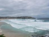 Sydney: Bondi Beach Coogee